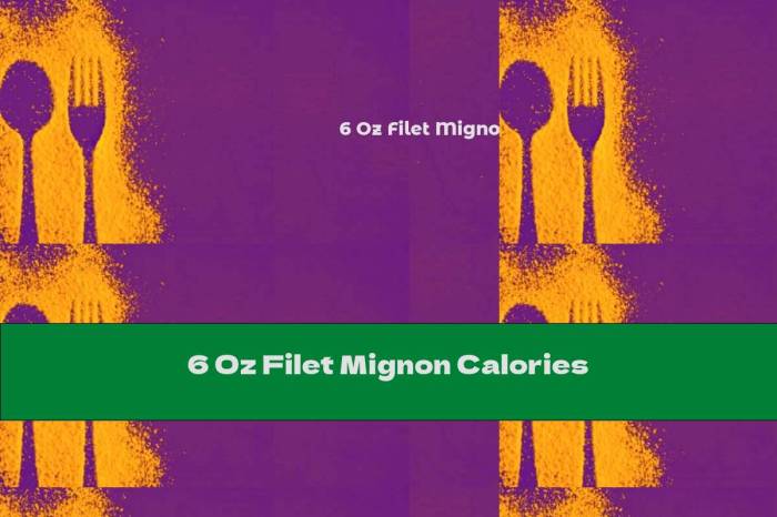 6 oz filet mignon nutrition facts